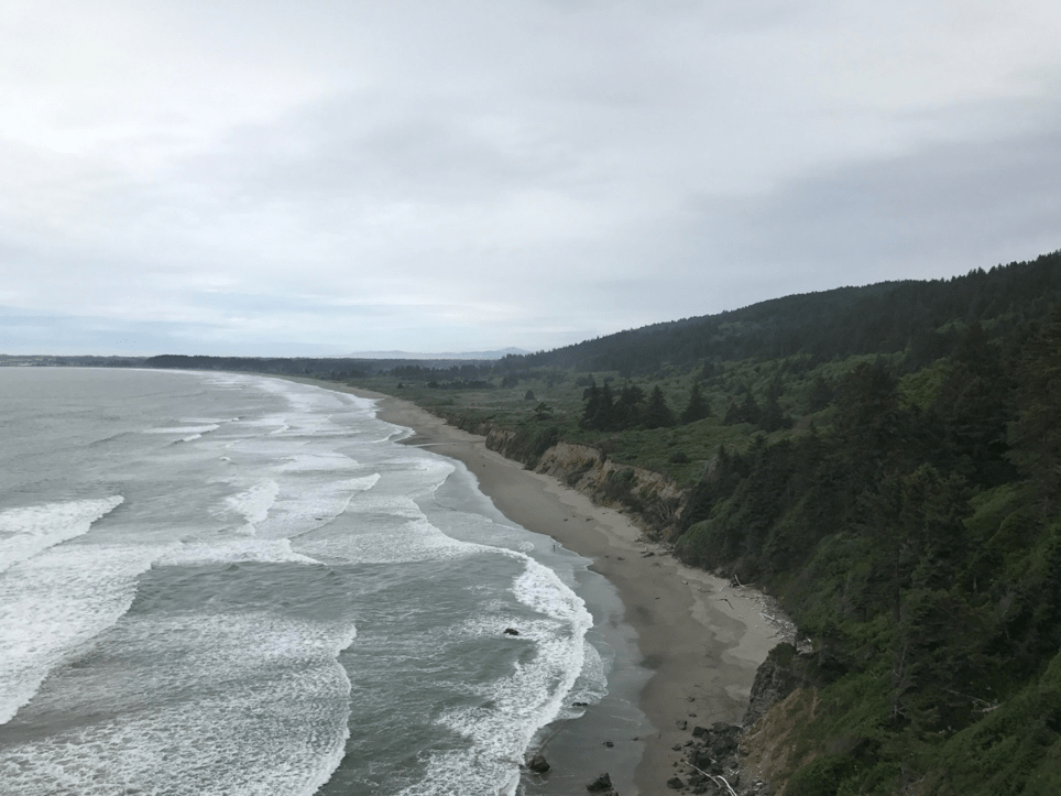 The Enderts Beach Coastal Plain American Conservation Experience