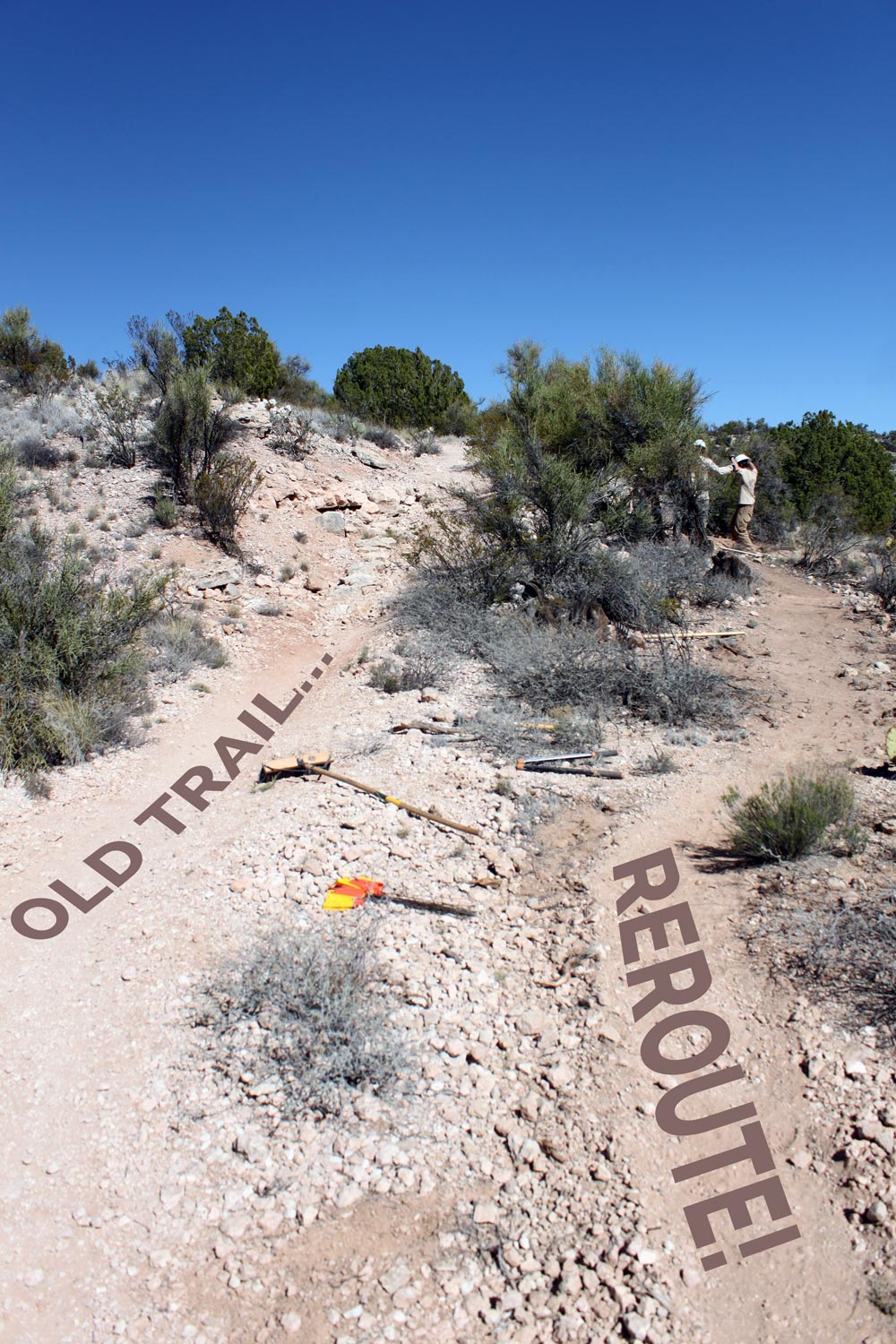 Upper Raptor Trail, Red Rock Ranger District, Coconino NF - American ...