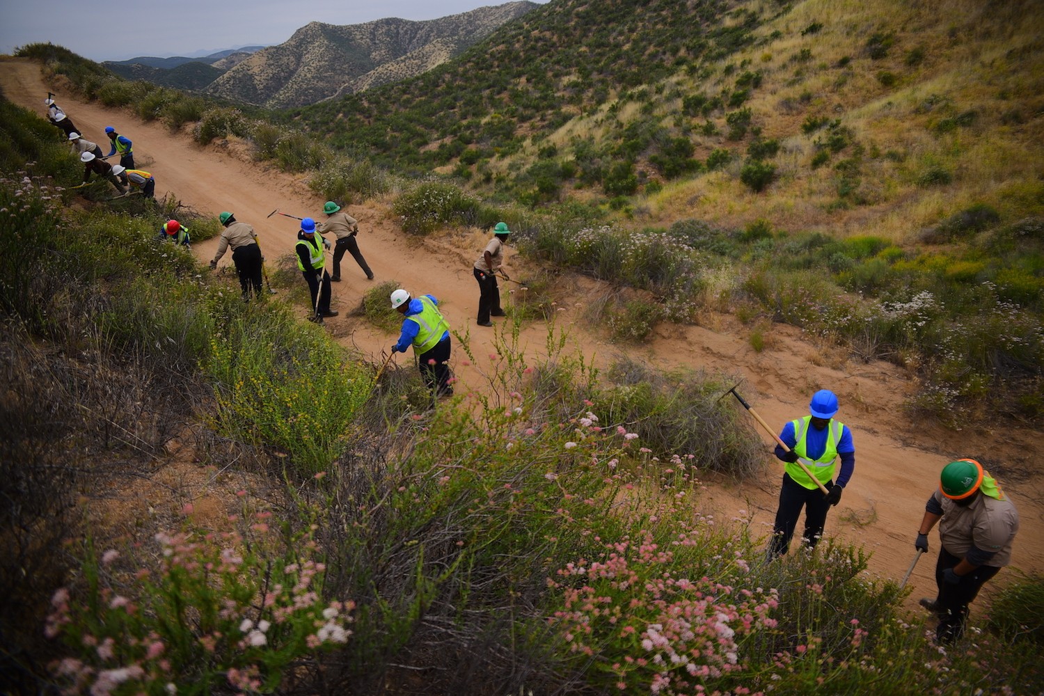 california conservation corps blogo