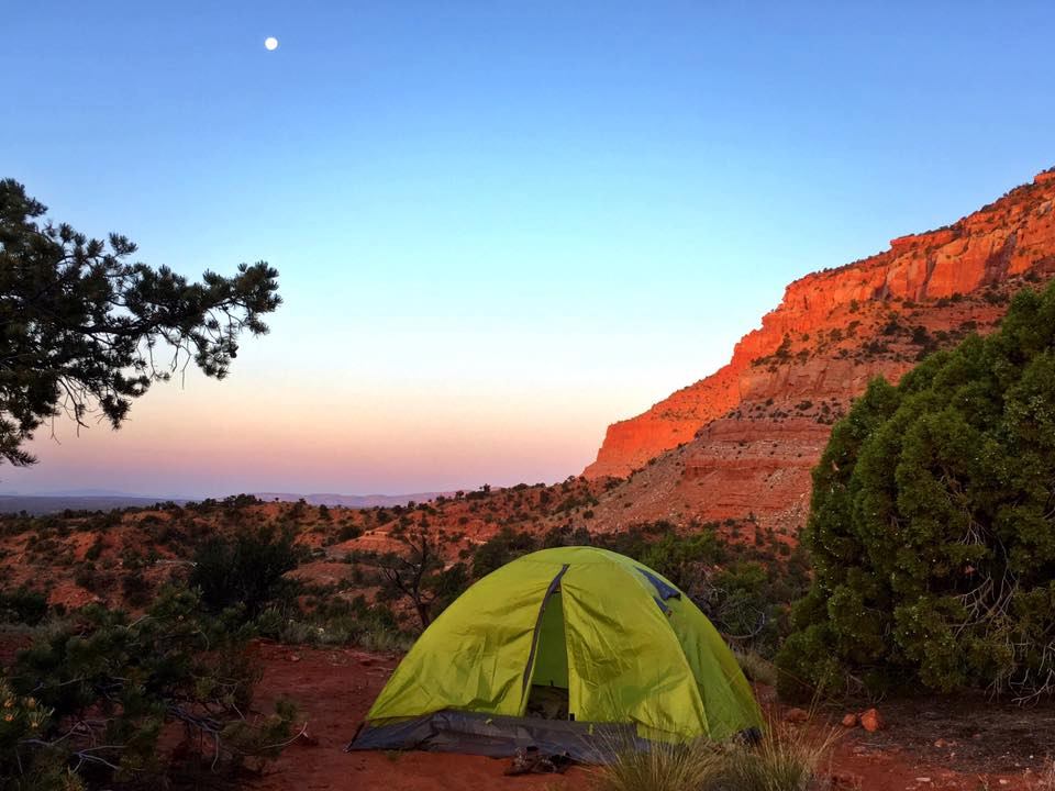 Rose, Bud, Thorn: A Look Into ACE Camp Life - American Conservation ...