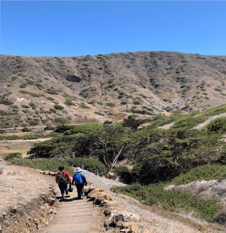 Hiking trail at Channel Islands