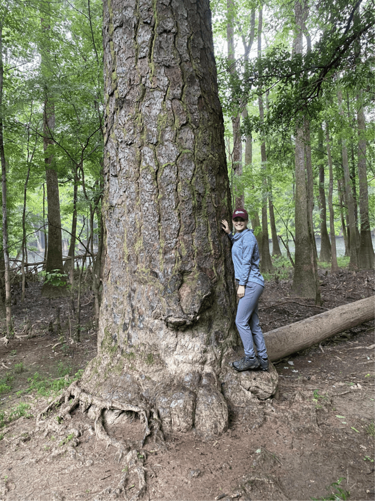 Isabella stands in front of one of the largest old growth trees at Congaree National Park