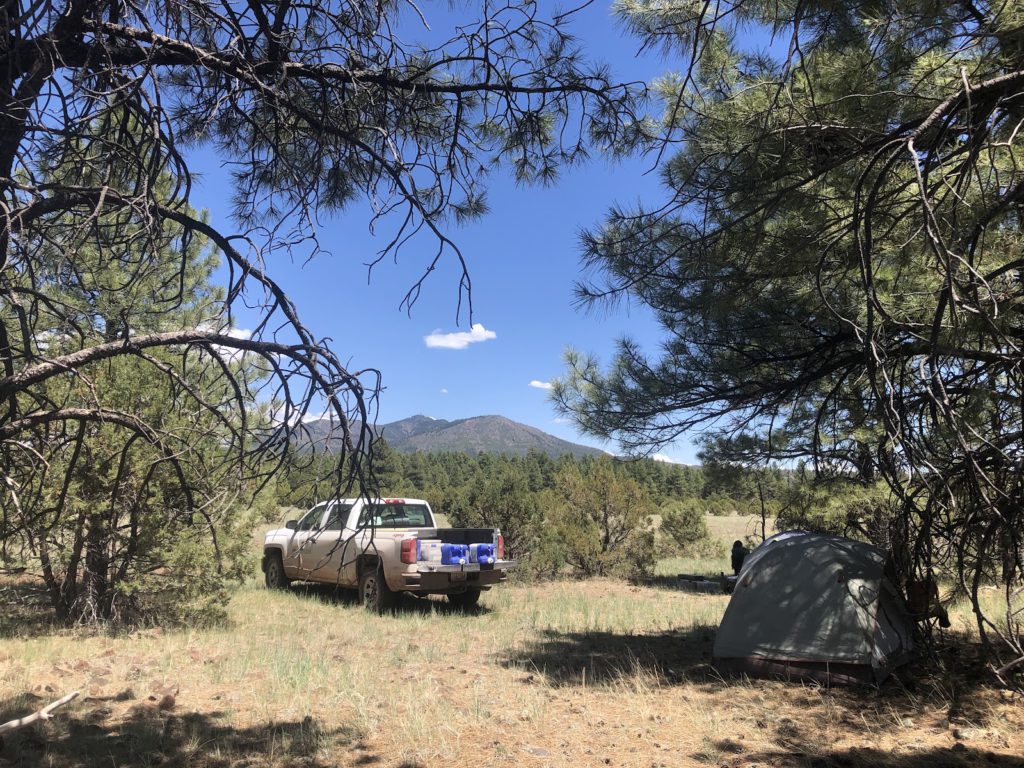 Pickup Truck at Wilderness Campsite
