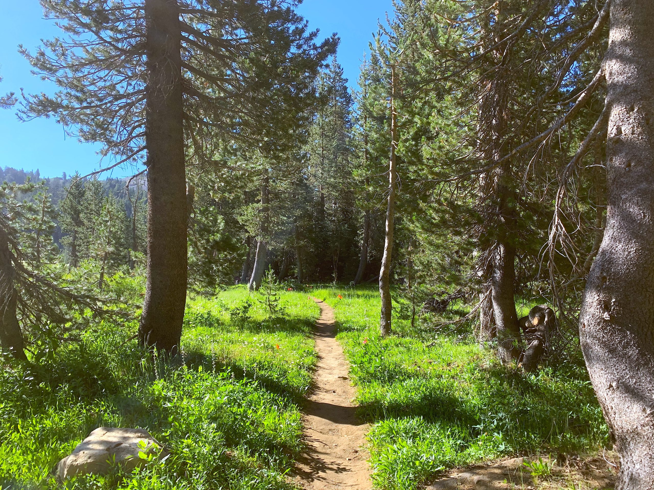 PCTA launches new interactive map for the Pacific Crest Trail - Pacific  Crest Trail Association
