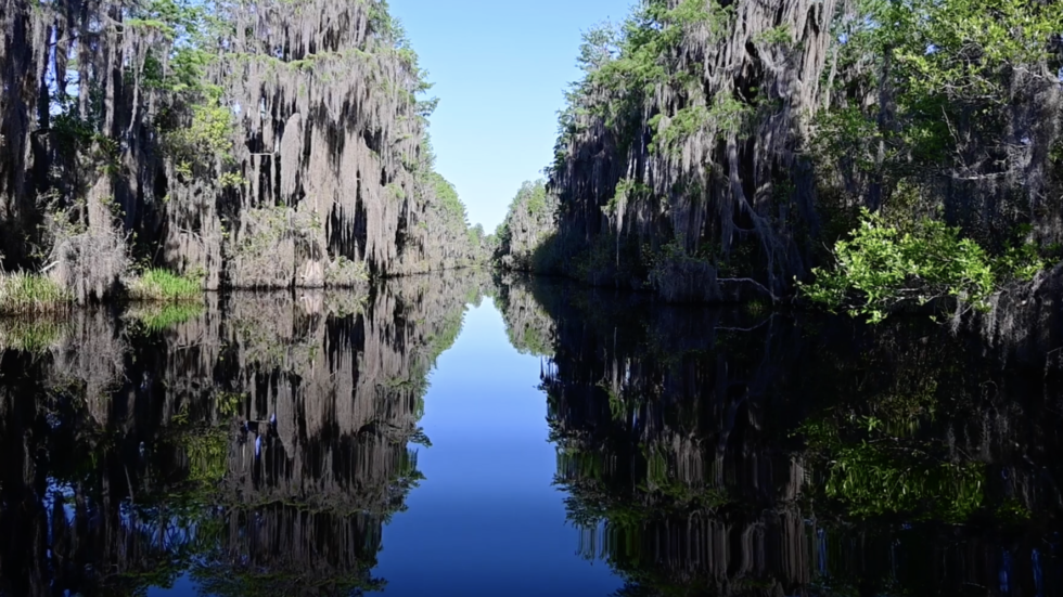 Video Discover Okefenokee National Wildlife Refuge ACE   FWS Oke Video Screengrab E1670516086902 980x551 