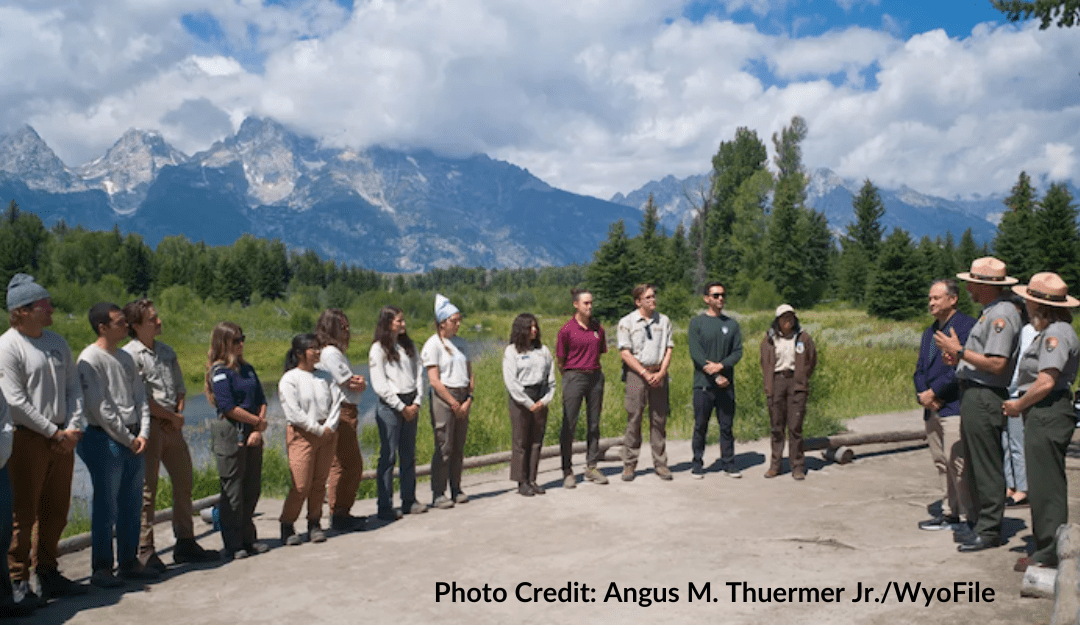 The Advantages of Having Green Stems in Arid Environments (U.S. National  Park Service)