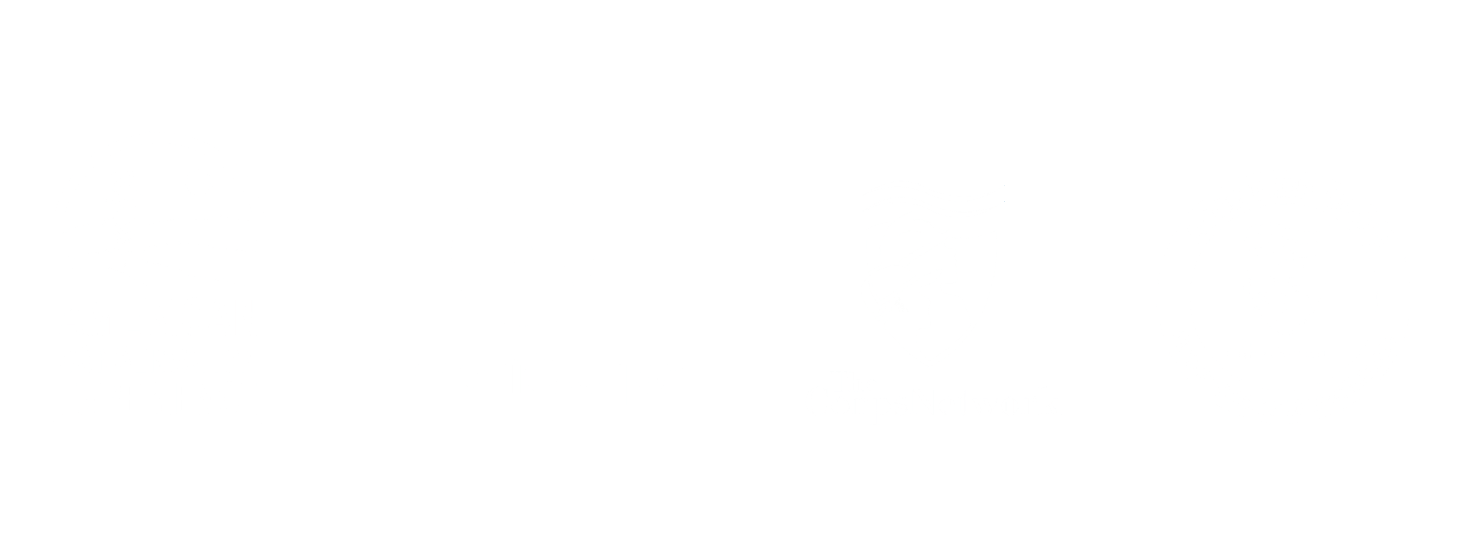 ACE partner logos