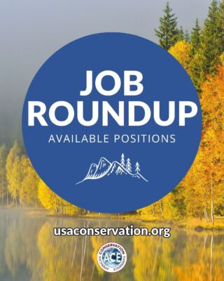 10 Reasons to Consider Federal Agency Positions - American Conservation  Experience